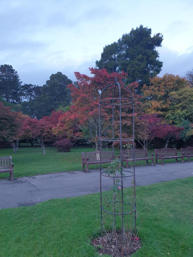 קארדיף Private Room Near Roath Lake/Park מראה חיצוני תמונה